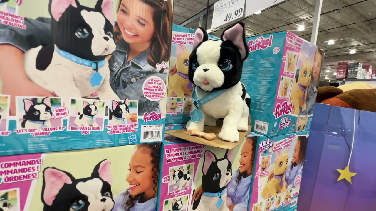 Just Play FurReal Train and Play Frenchie Assortment