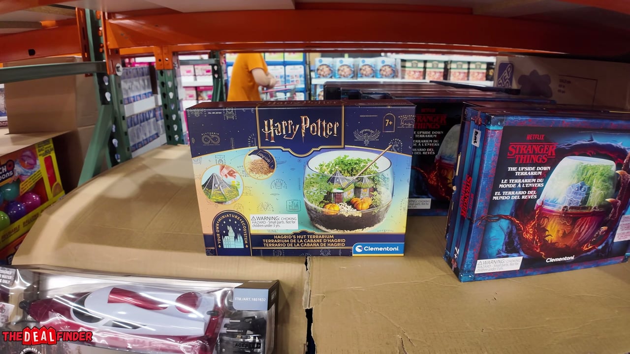 Terrarium Kit Assortment - Harry Potter or Stranger Things