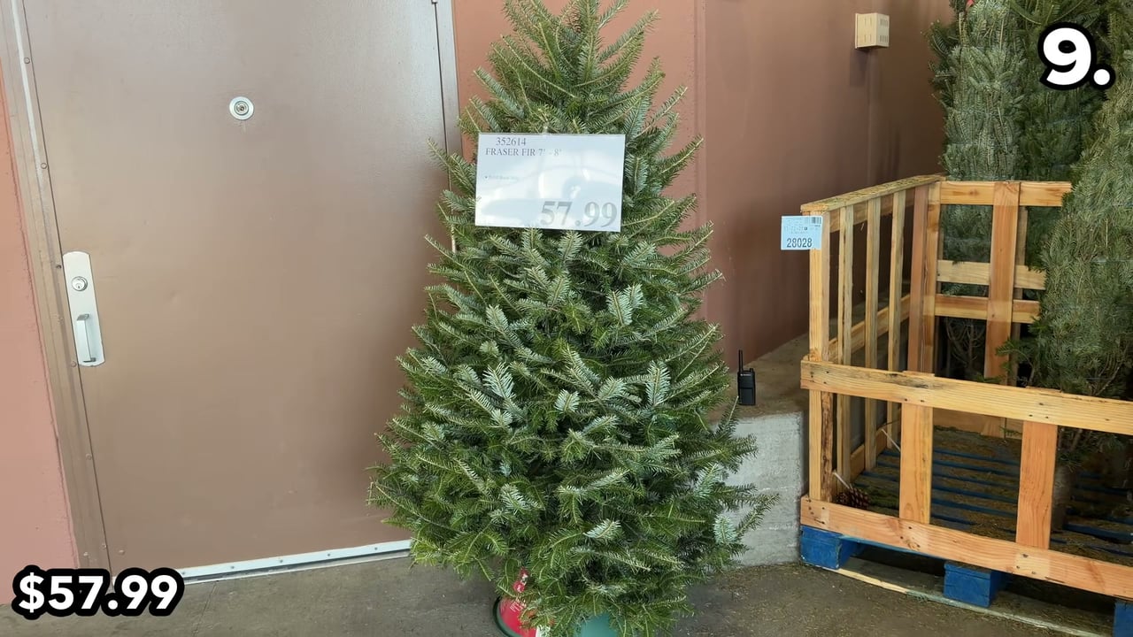 Fraser Fir 7'-8'