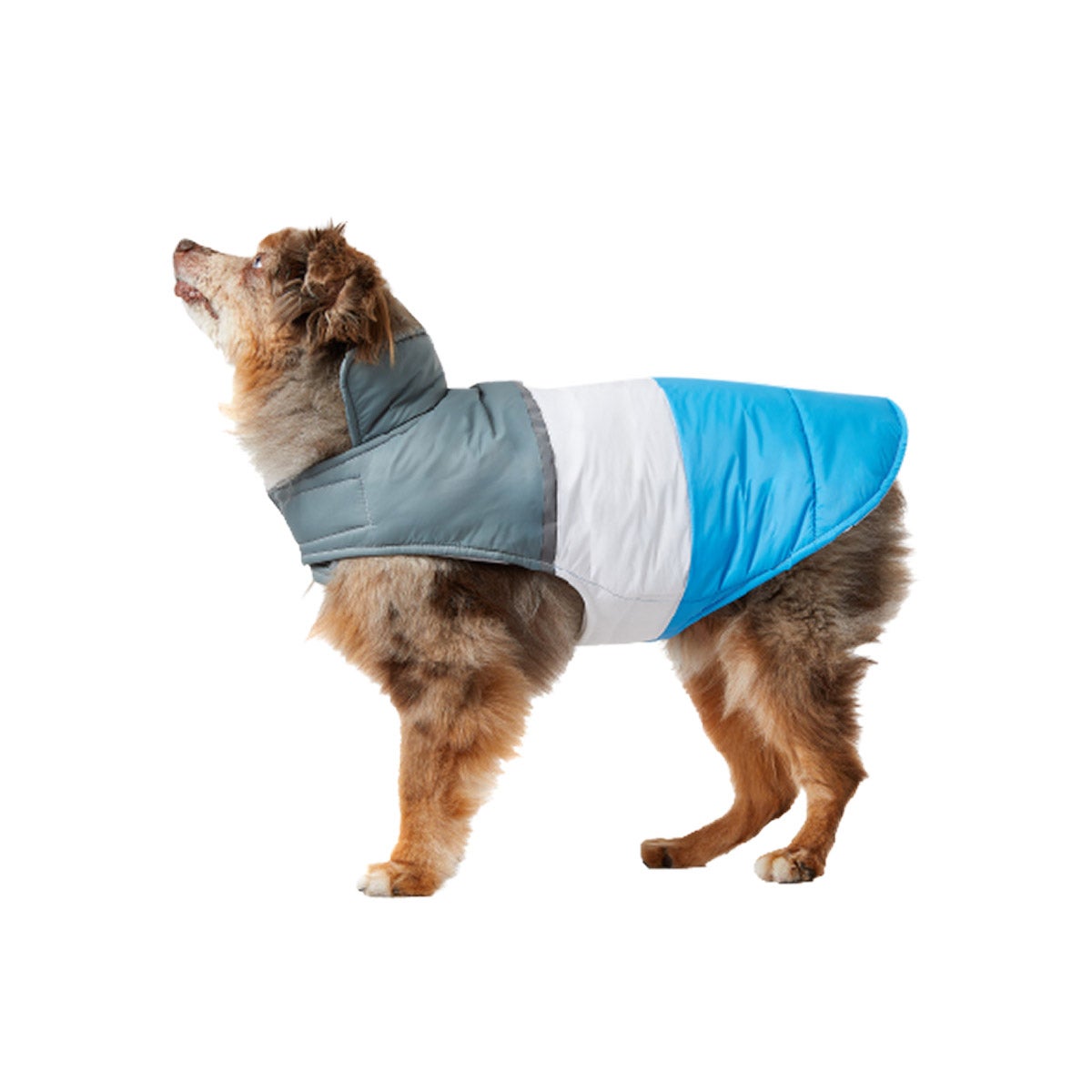 32 Degrees Dog Vest Blue, Red, Pink - Image 1
