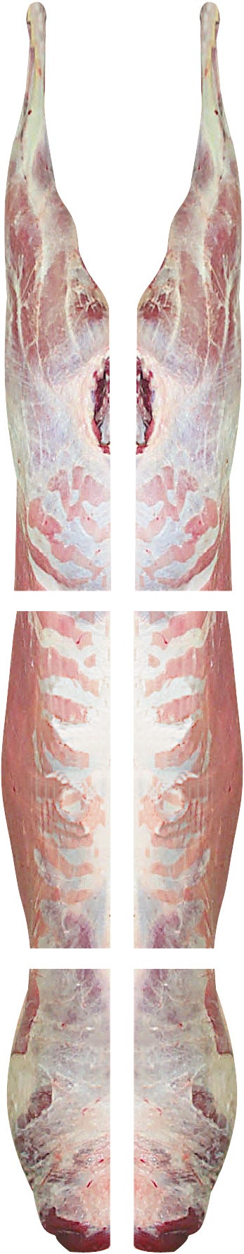 Halal Foodcomm International Goat 6-Way Cut - Image 1