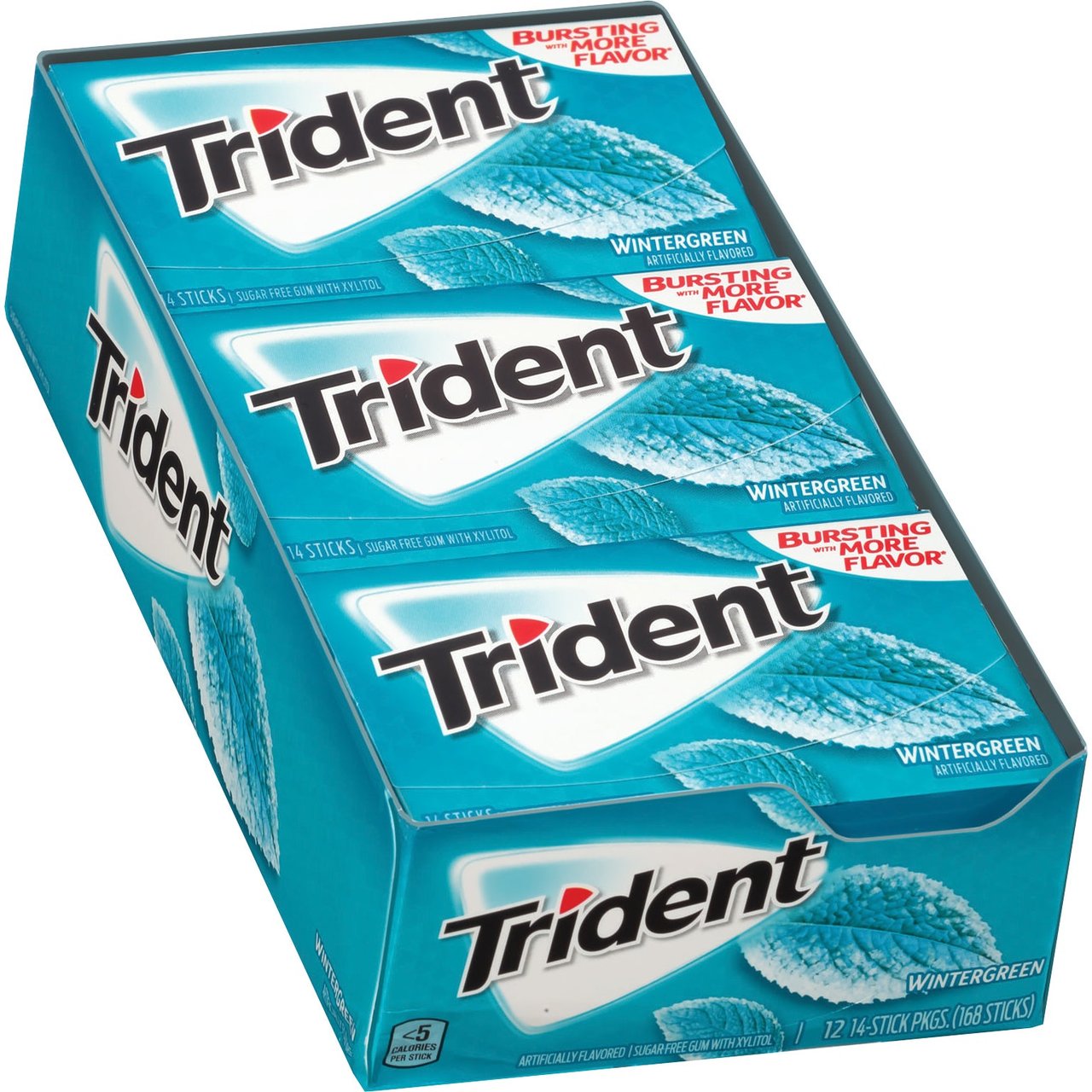 Trident Wintergreen Sugar Free Gum, 12 Packs/14 Sticks - Image 1