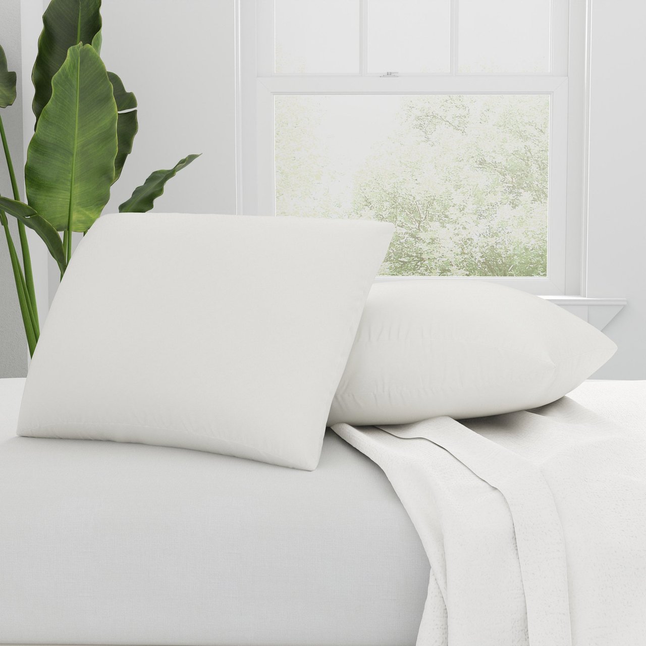 AllerEase Naturals Organic Cotton Cover Pillow - Jumbo 2-Pack - Image 1