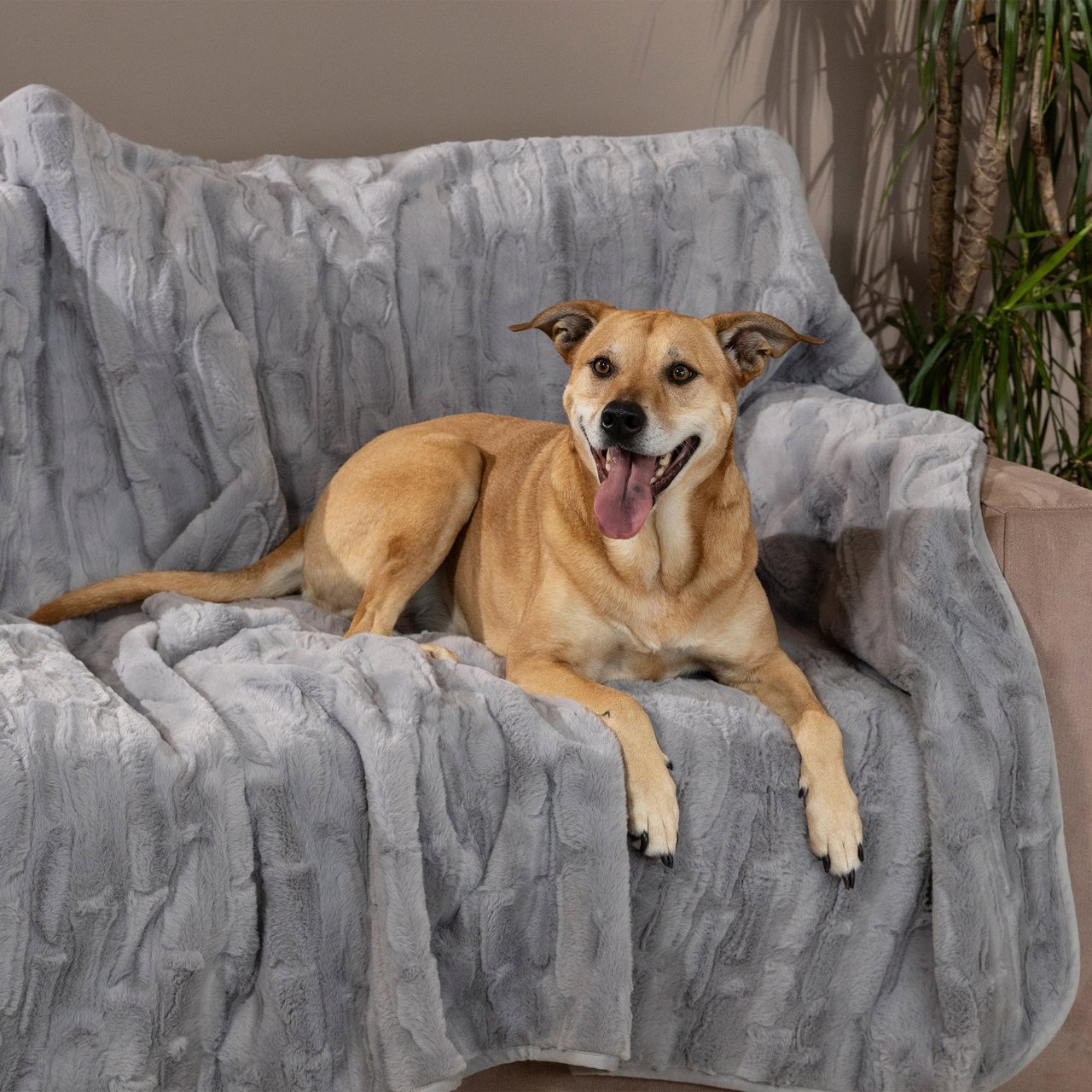 Brentwood Waterproof Faux Fur Pet Throw 60" x 70" - Image 1