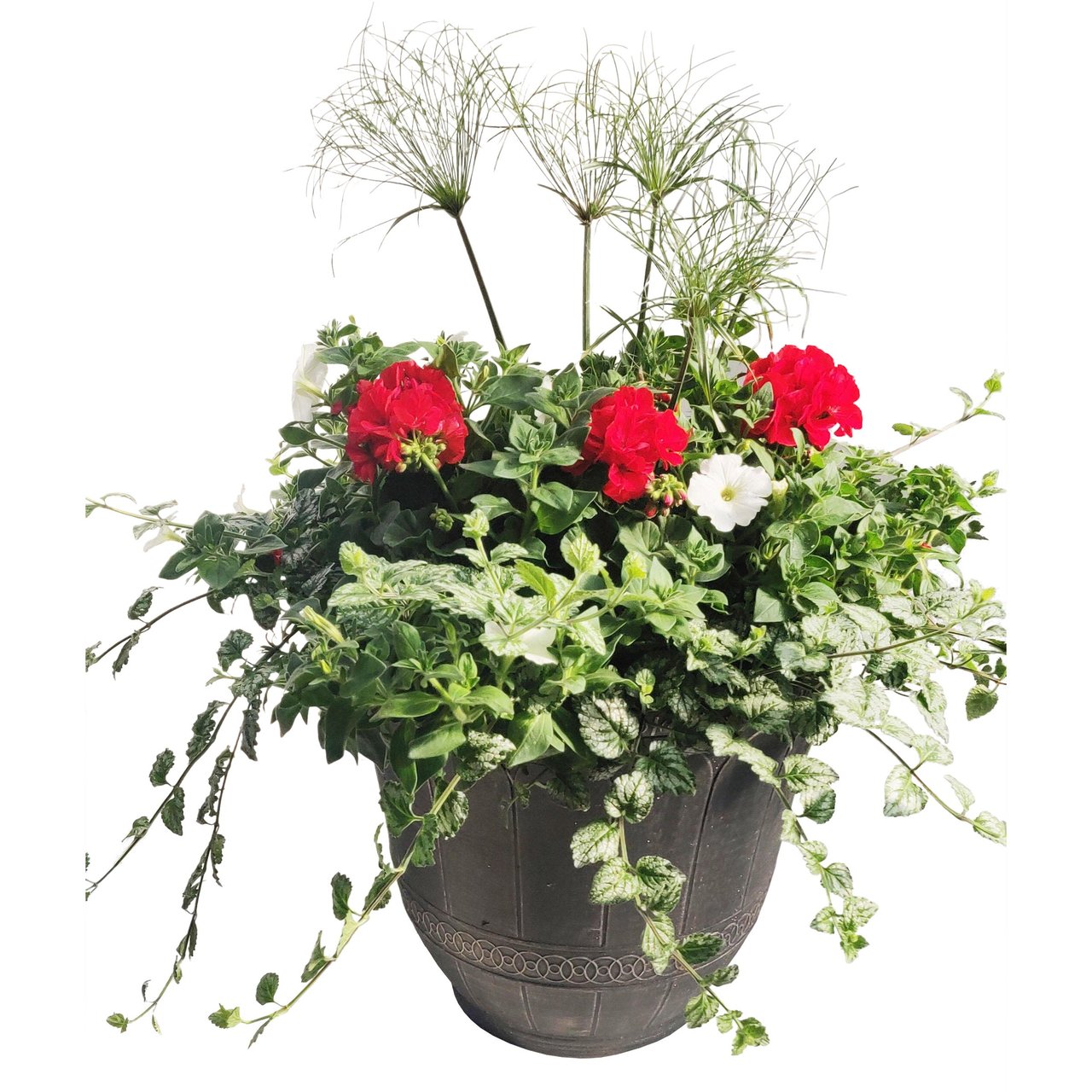 Premium Garden 7.5L Planter Pot
