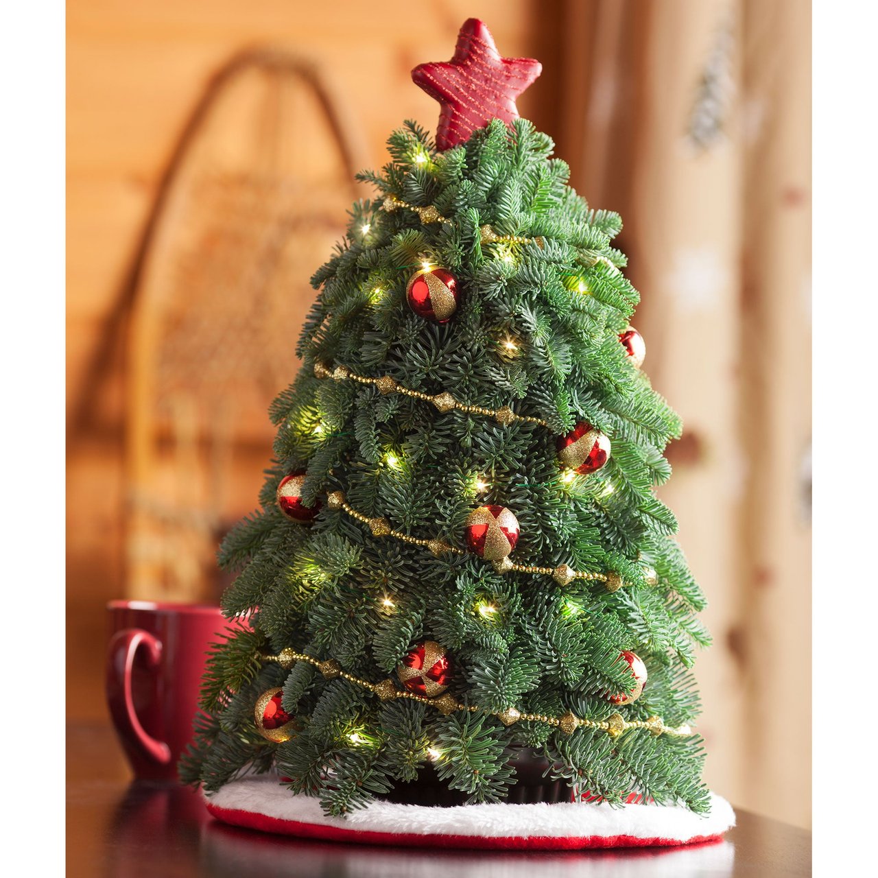 Living Tree with Lights, 5 Gallon (19L) - Image 1
