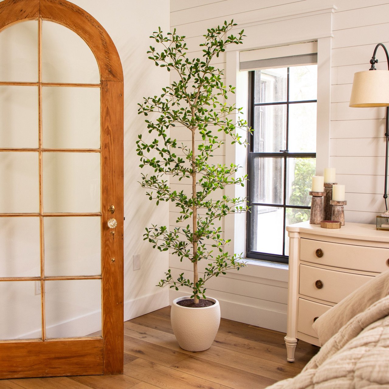 Faux 6.5' Black Olive Tree - Image 1