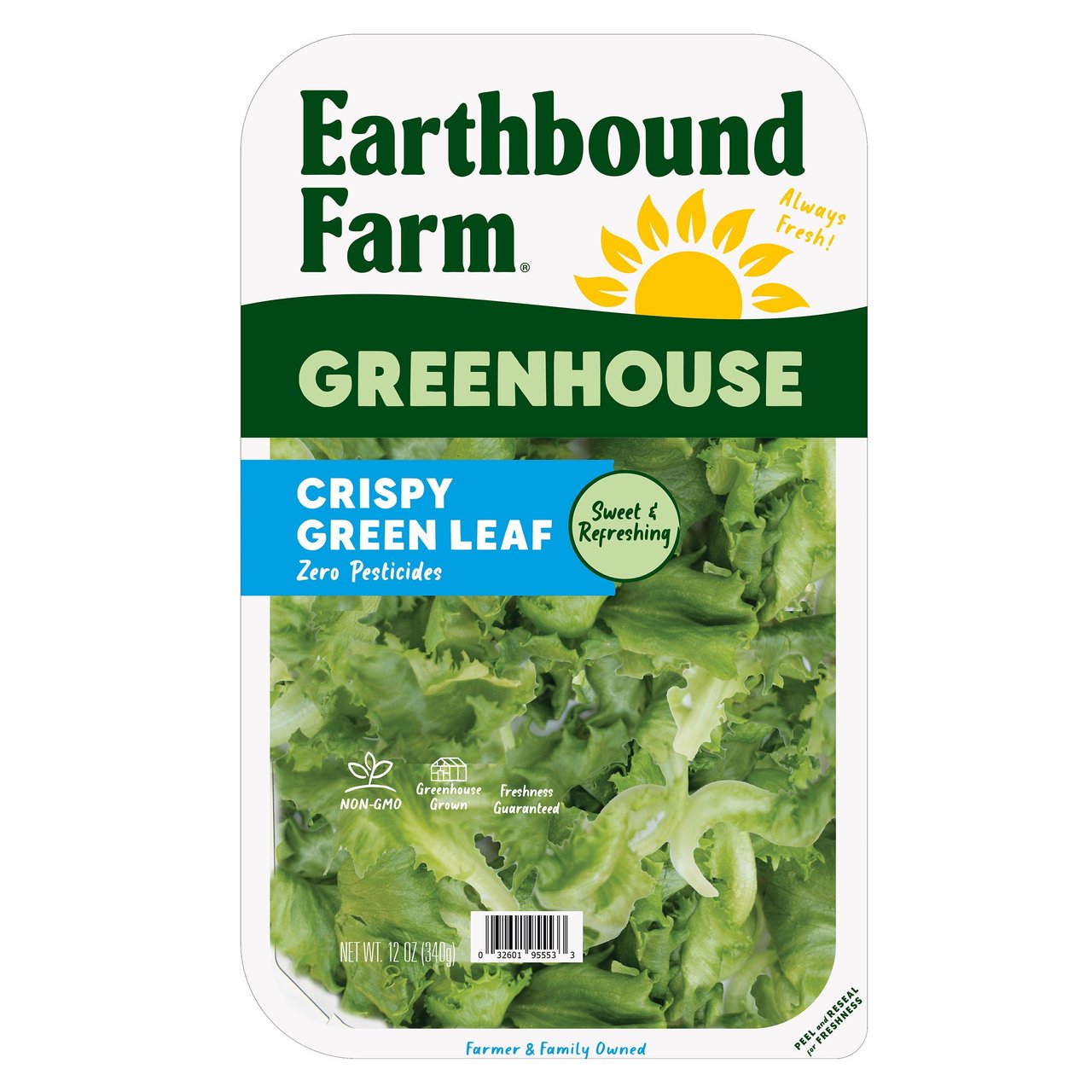 Green Leaf Lettuce, Greenhouse Grown, 12 oz