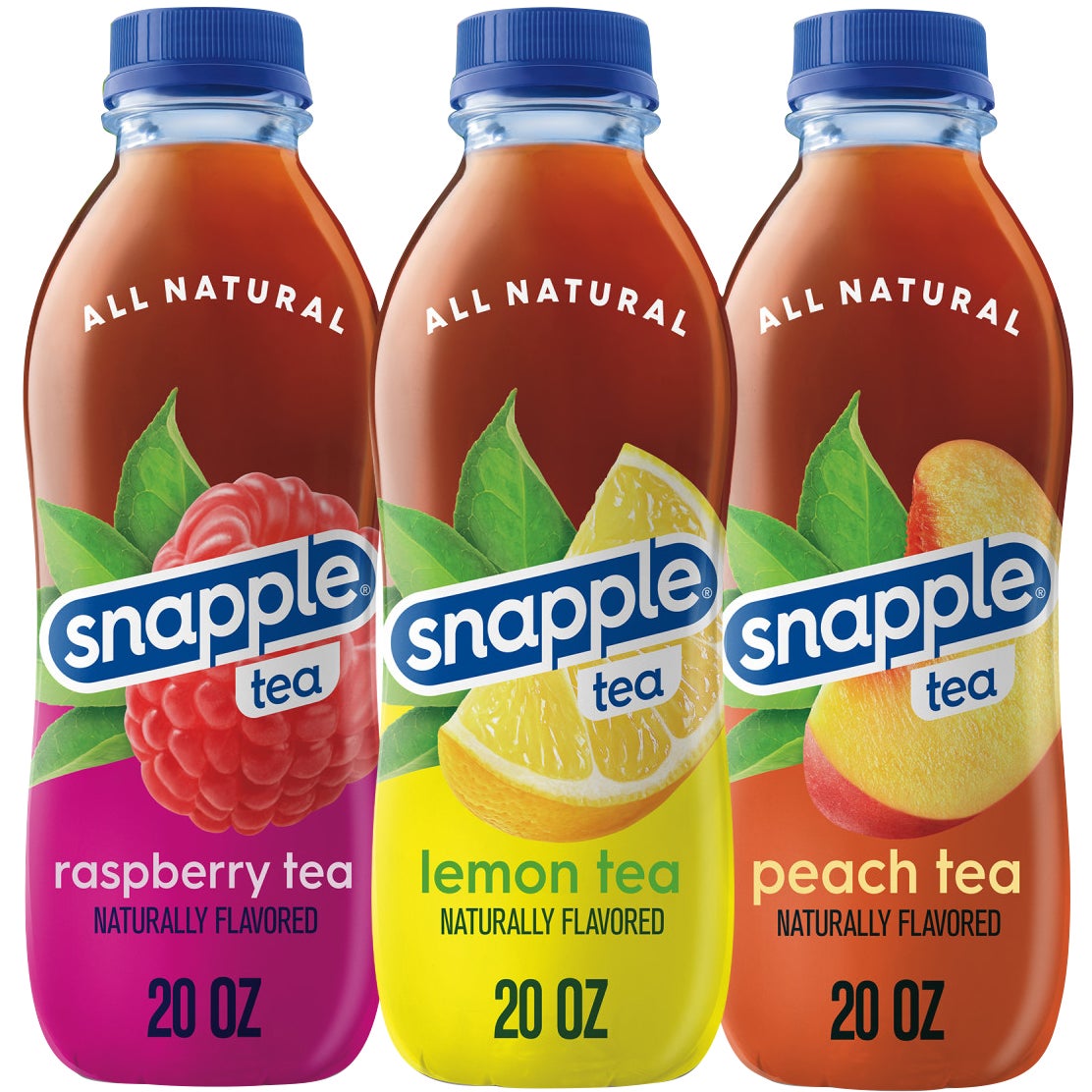 Snapple Iced Tea Variety Pack, 24 Count, 20 fl oz (15 Quarts) - Image 1