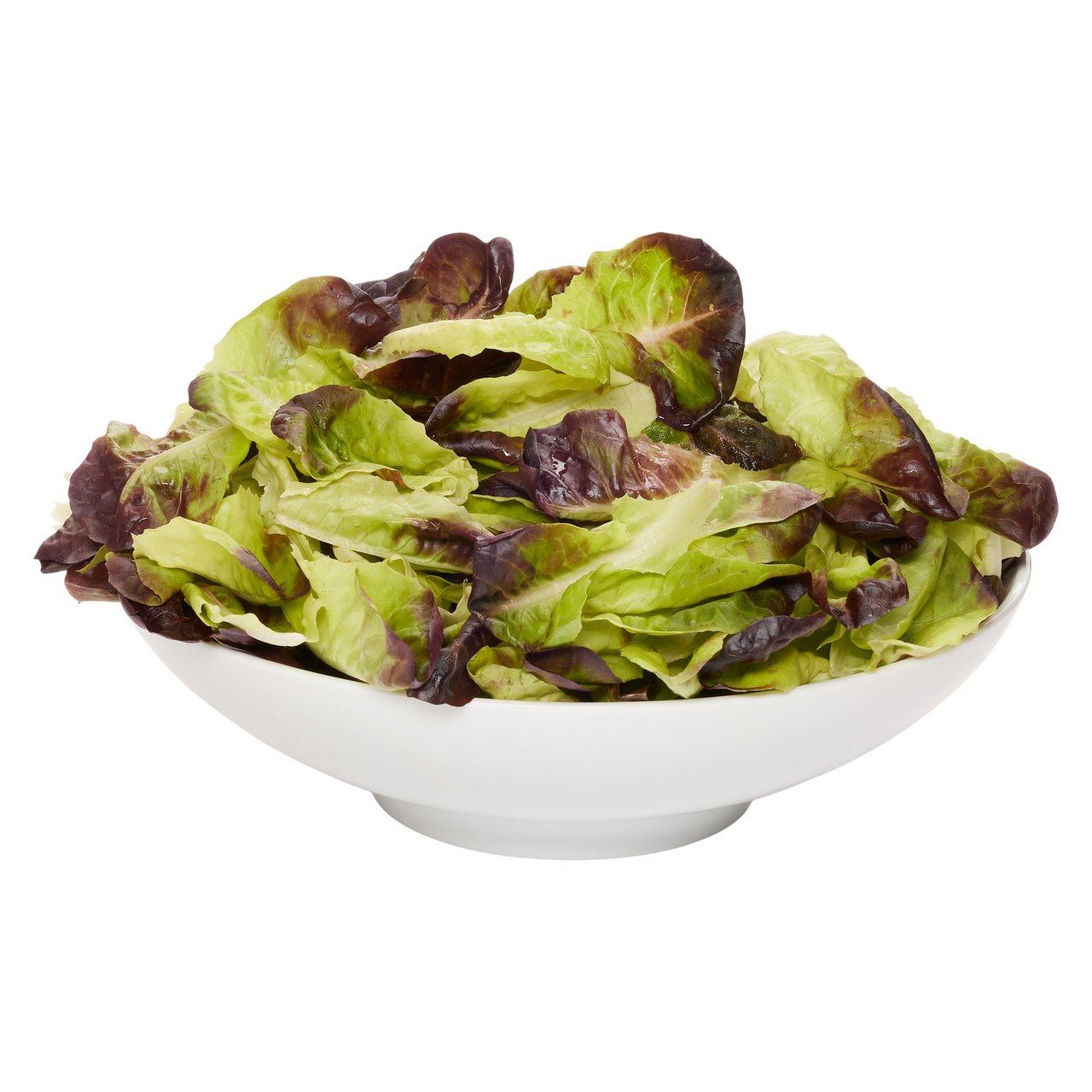 organicgirl Organic Butter, Plus! Lettuce Blend, 14 oz