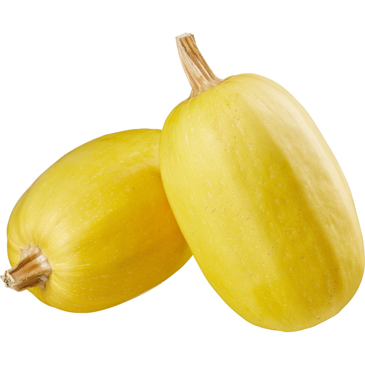 Organic Spaghetti Squash - Image 1