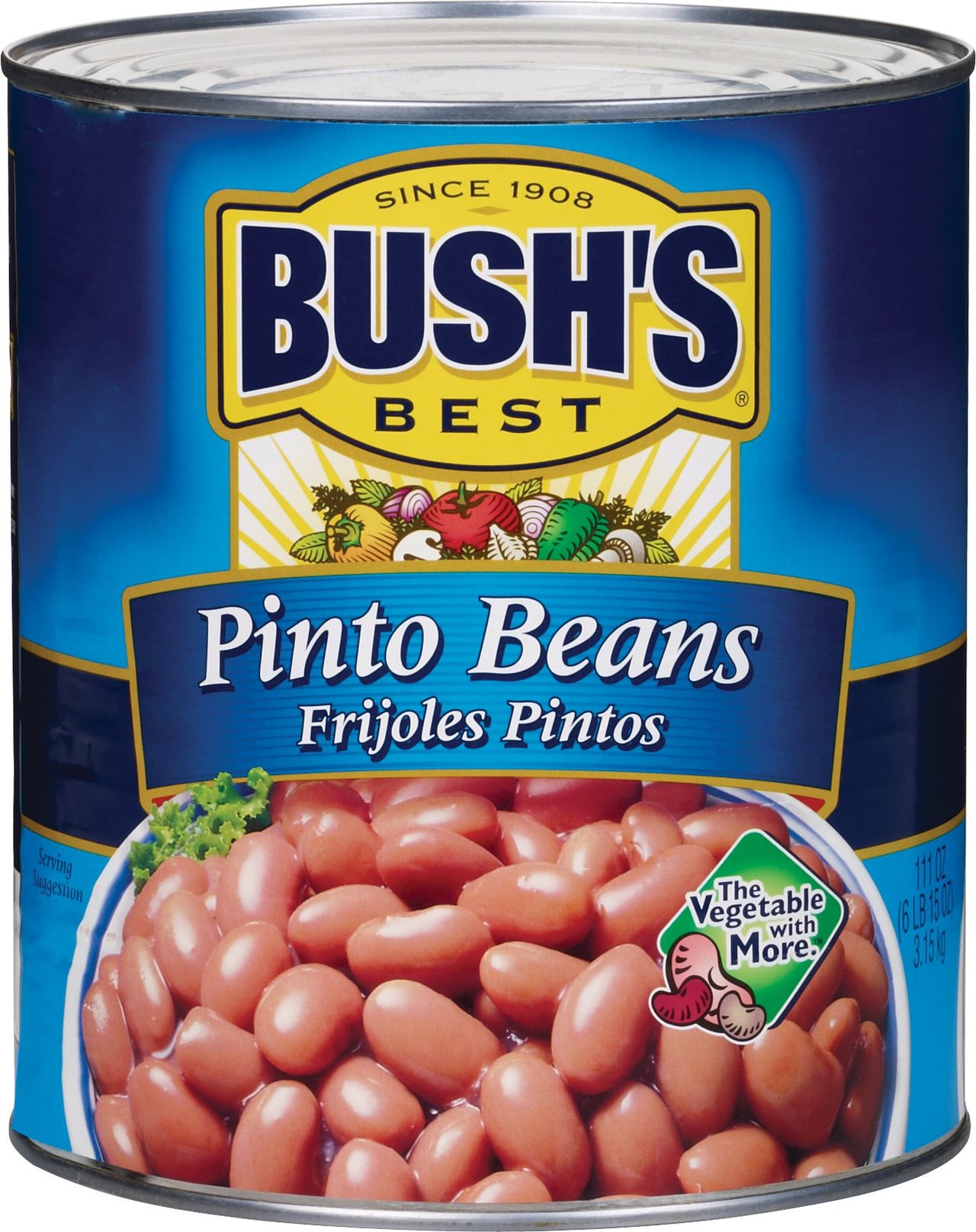 Bush's Best Pinto Beans, #10 Can