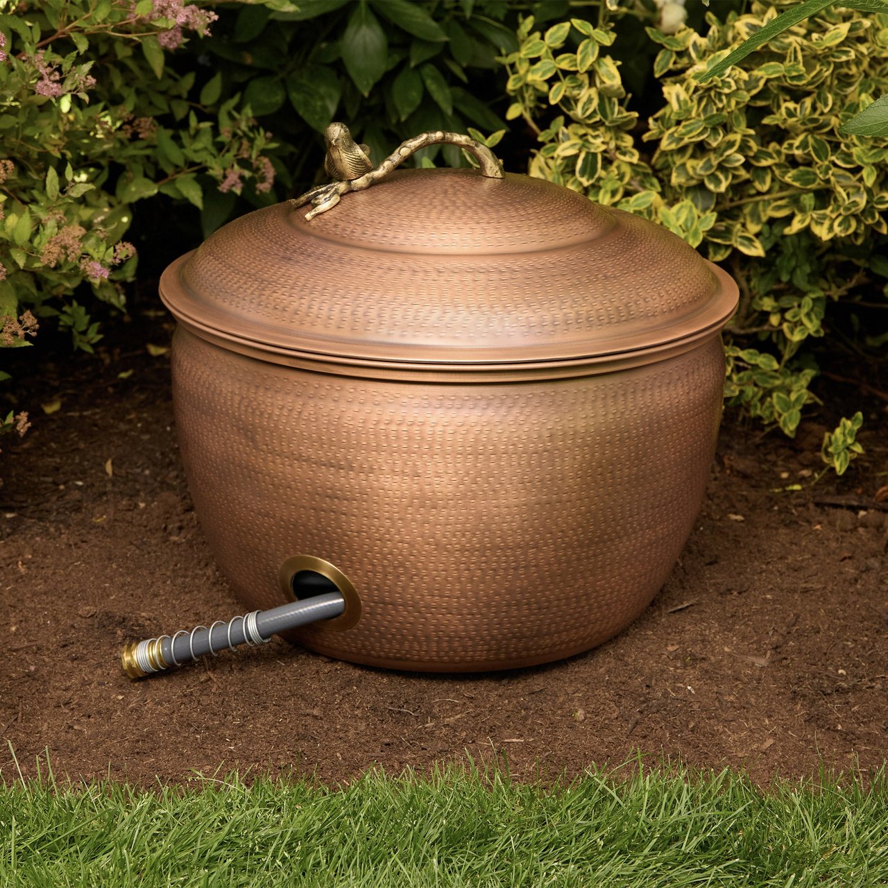 Mullally Copper Plated Garden Hose Pot with Bird Handle Lid - Image 1