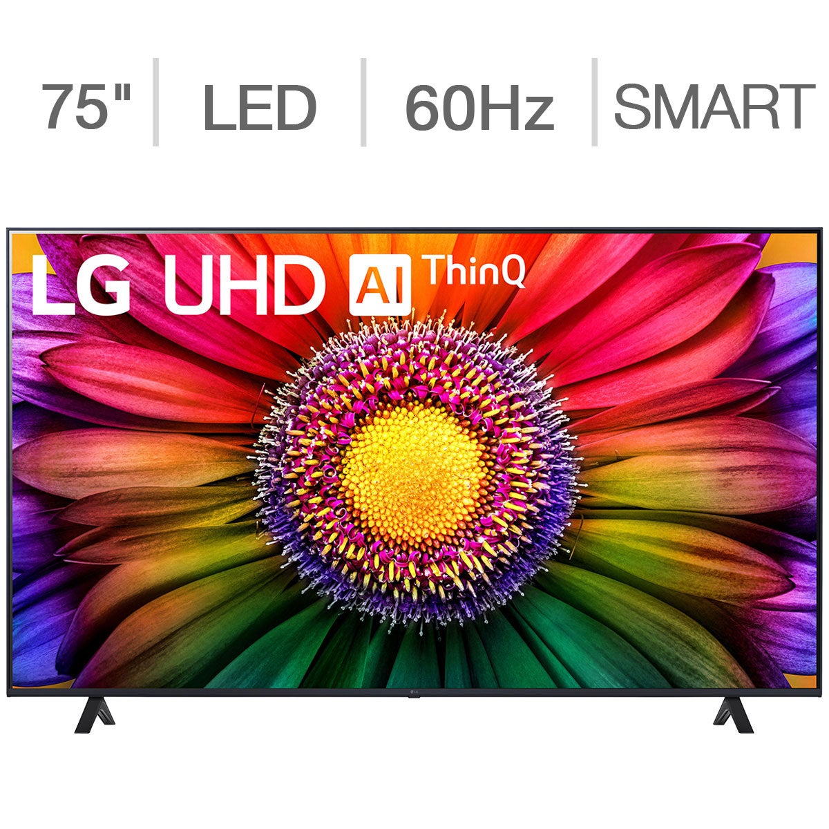 LG 75" Class UR8000 Series (74.5" Diagonal) 4K UHD LED LCD TV