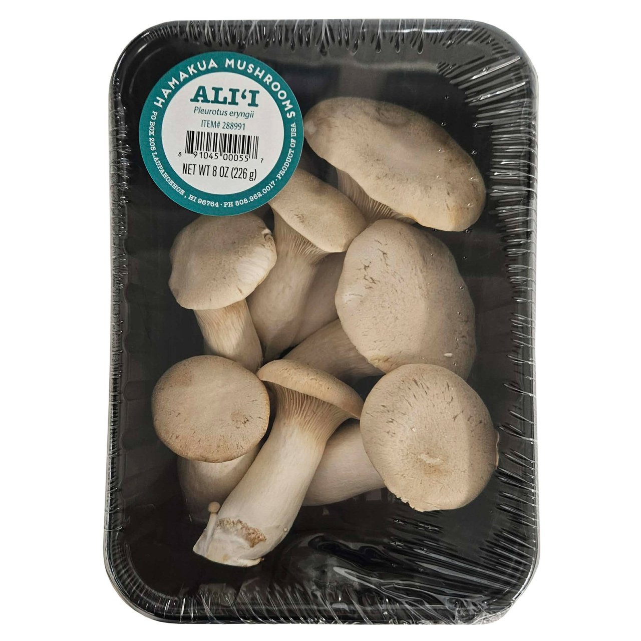 Fungal Jungle Mushroom 8 oz Grown in Hawaii