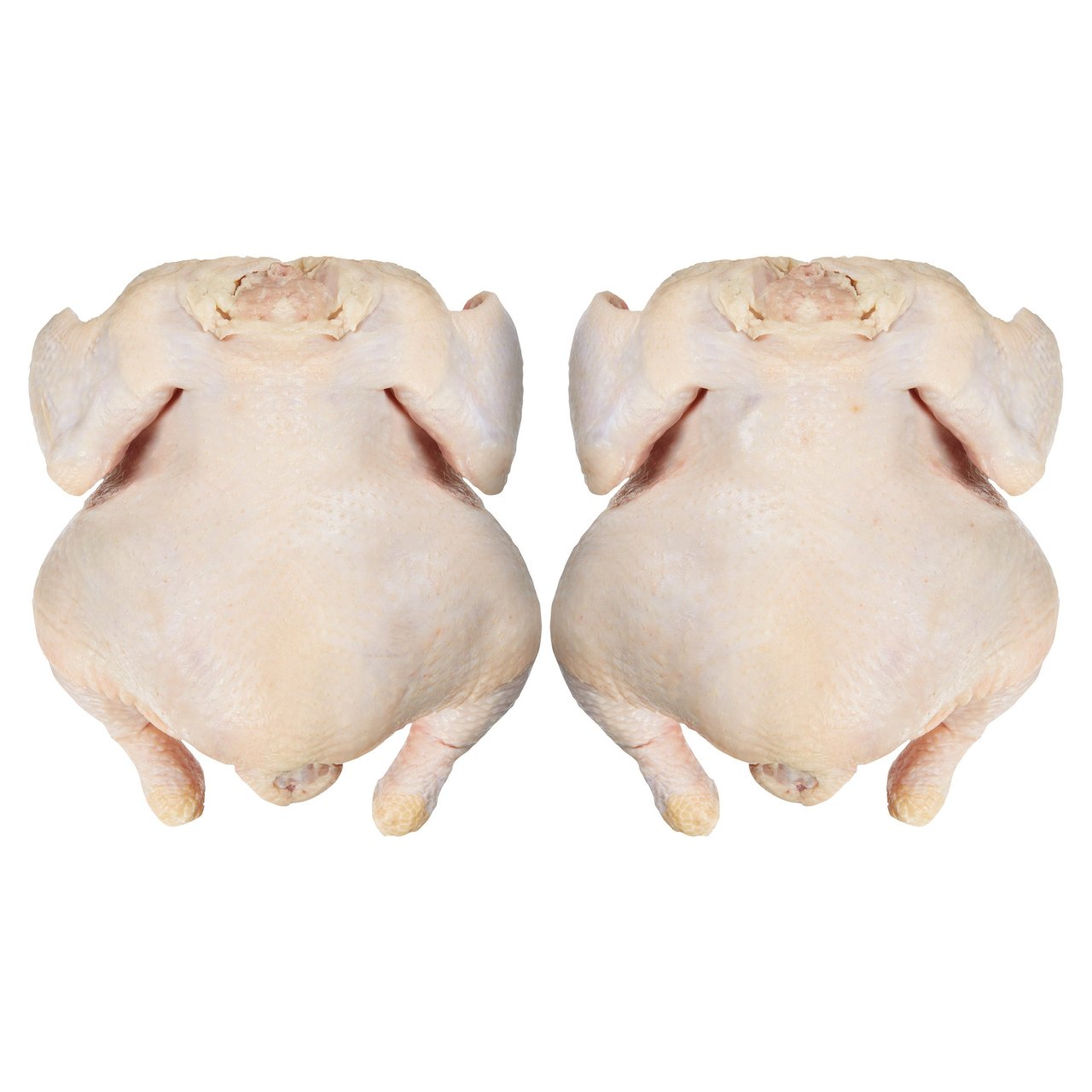 Fresh Organic Chicken Whole Bagged Fryers Per Lb