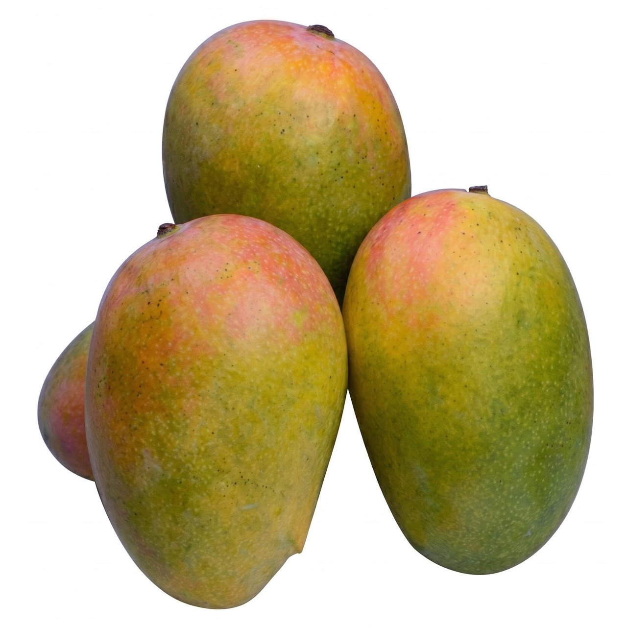 Kesar Mangos, Product of India, 4 Count
