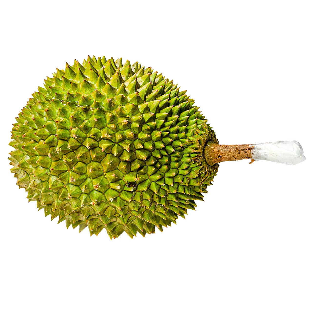 Fresh Durian Monthong Variety 6 lbs - Image 1