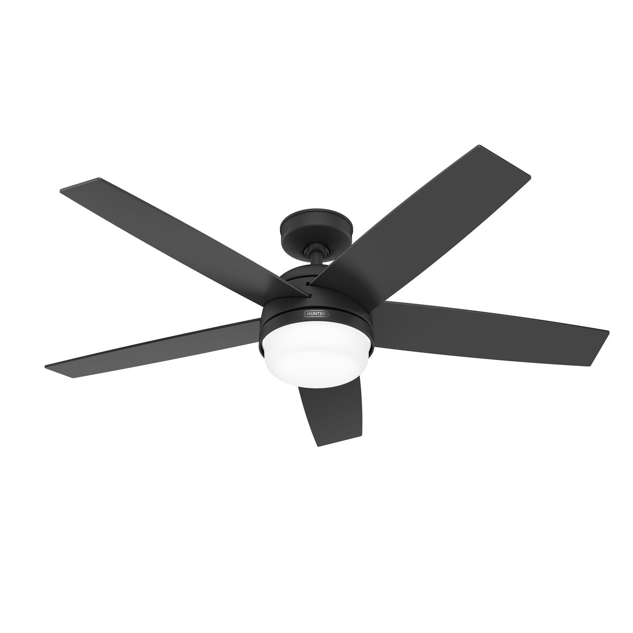Hunter Asheville 52" Indoor/Outdoor Ceiling Fan