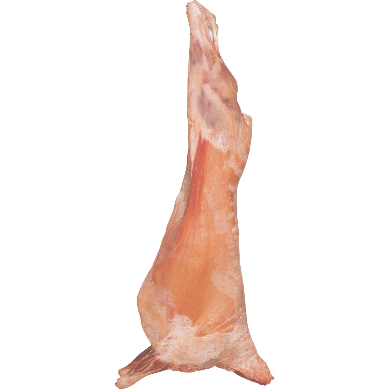 Australian Halal Lamb Carcass Price Per Pound