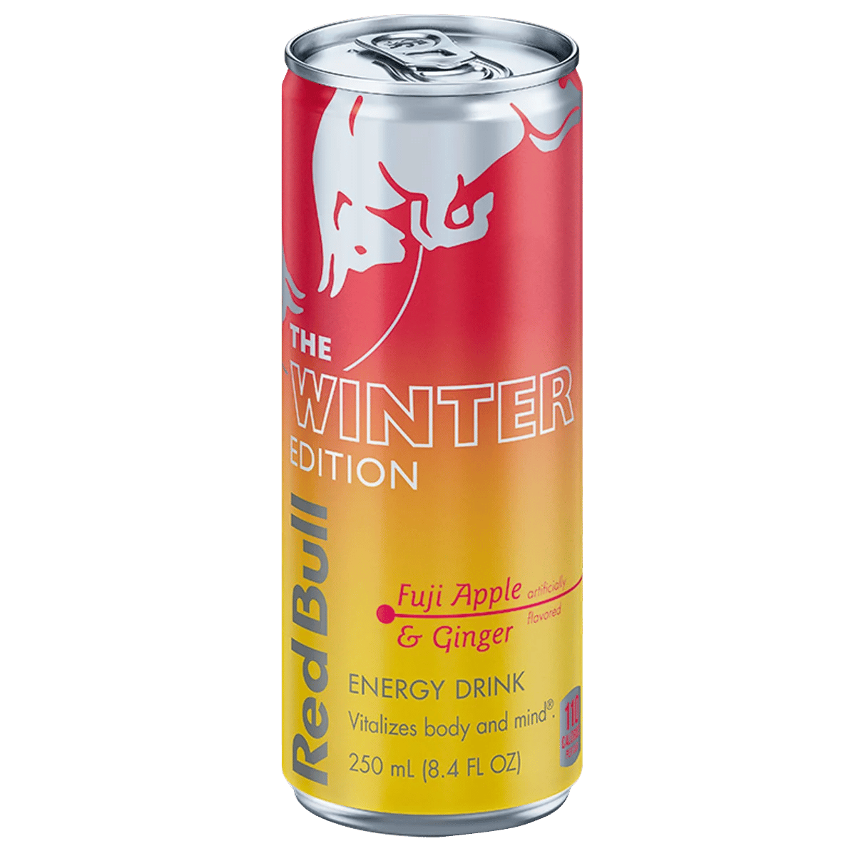 Red Bull Winter Edition 24/8.4 oz - Image 1