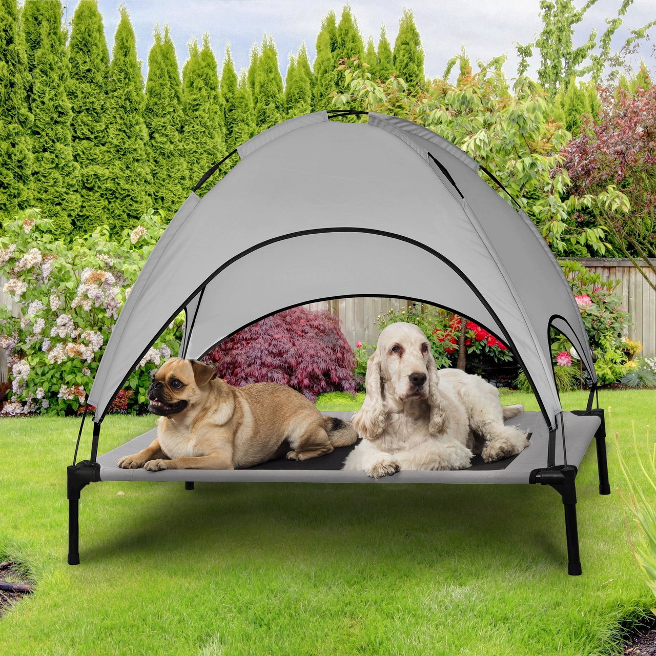 SolarTec Elevated Cot & Canopy 42 x 30