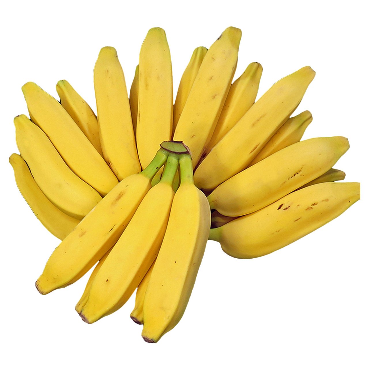 Apple Bananas, 3 lbs, Grown in Hawaii