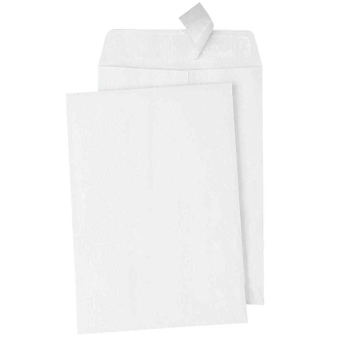 Quality Park Catalog Envelopes, 6" x 9", 100 CT