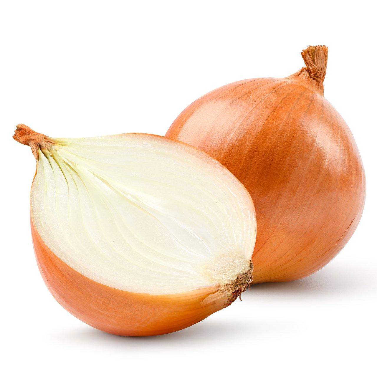 Yellow Onions Super Colossal 50 lb Bag