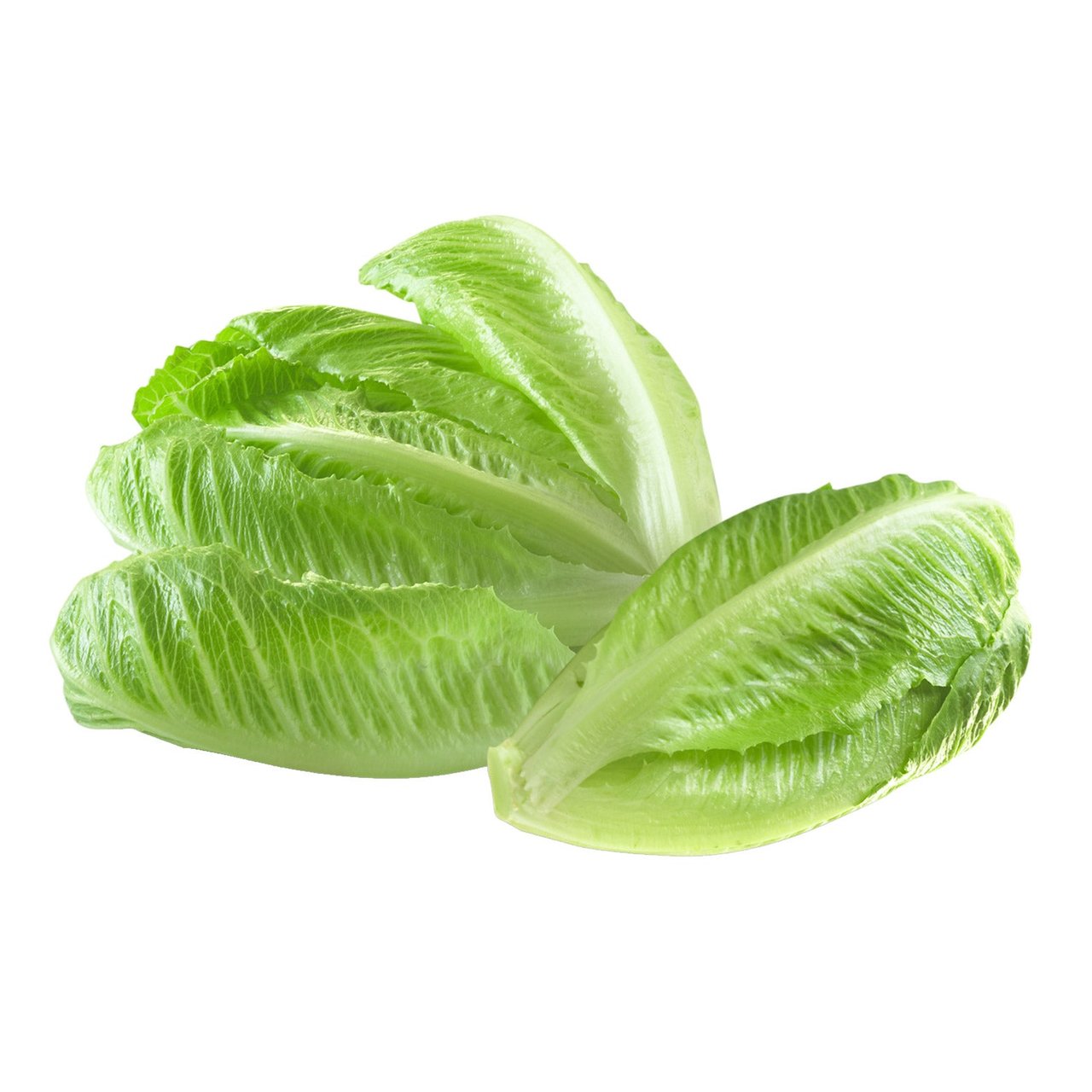 Organic Artisan Romaine 5 Count
