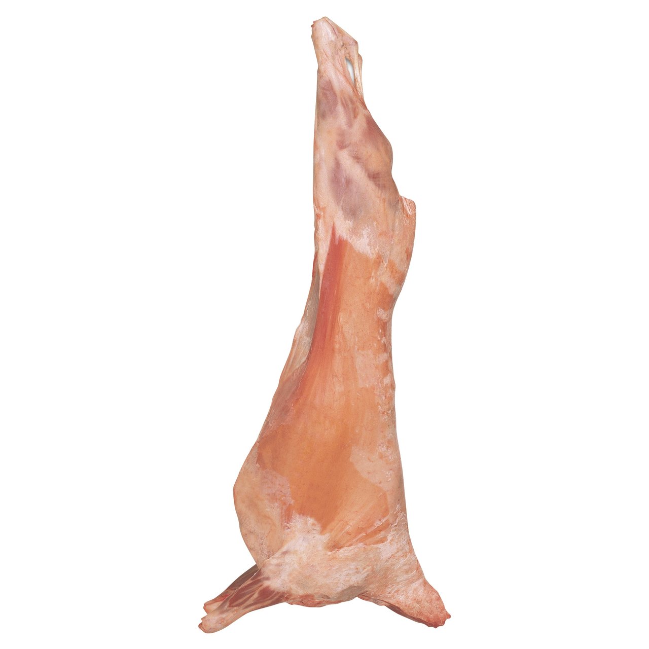 New Zealand Whole Lamb Halal Price Per Lb. - Image 1