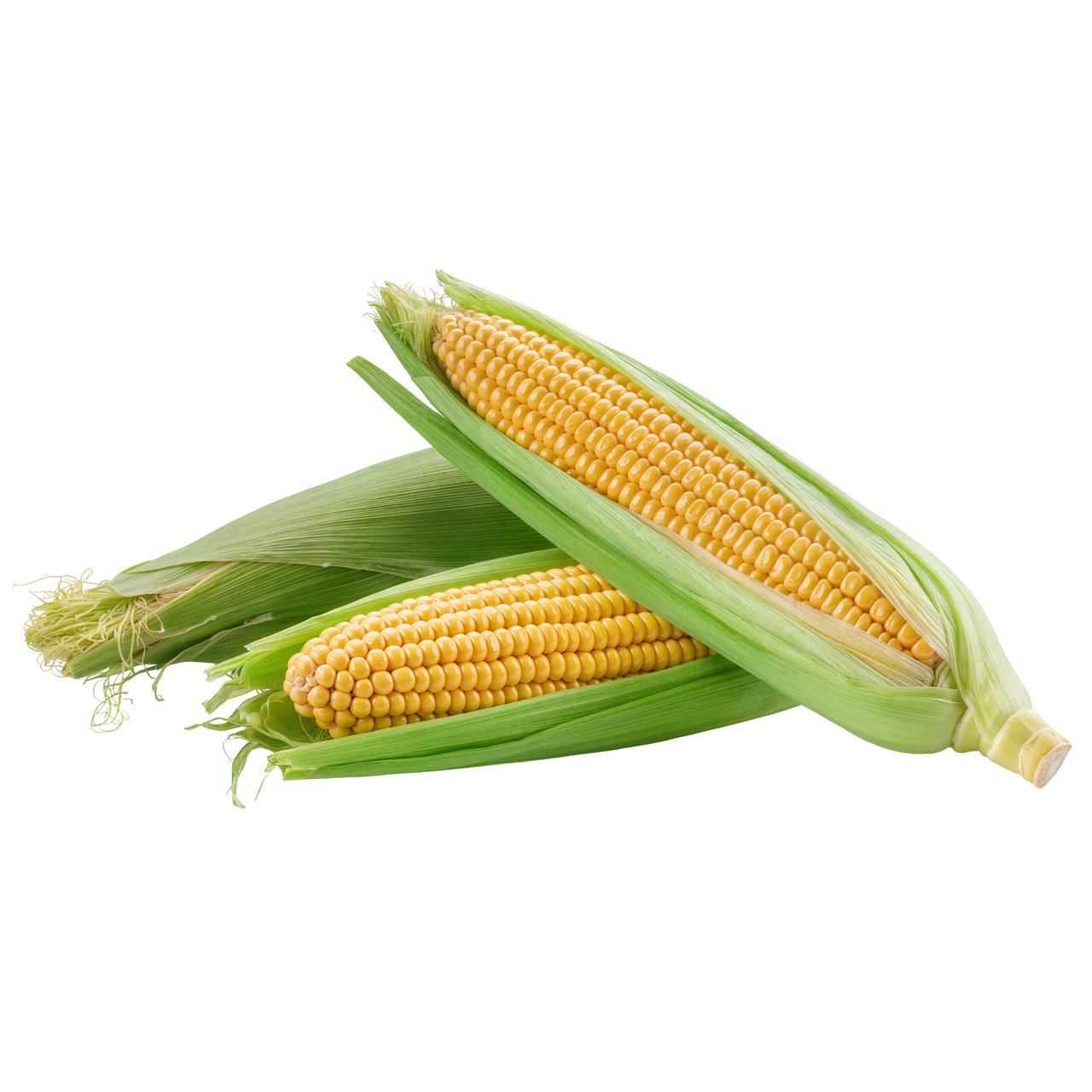 Husk On Sweet Corn, 4 Count