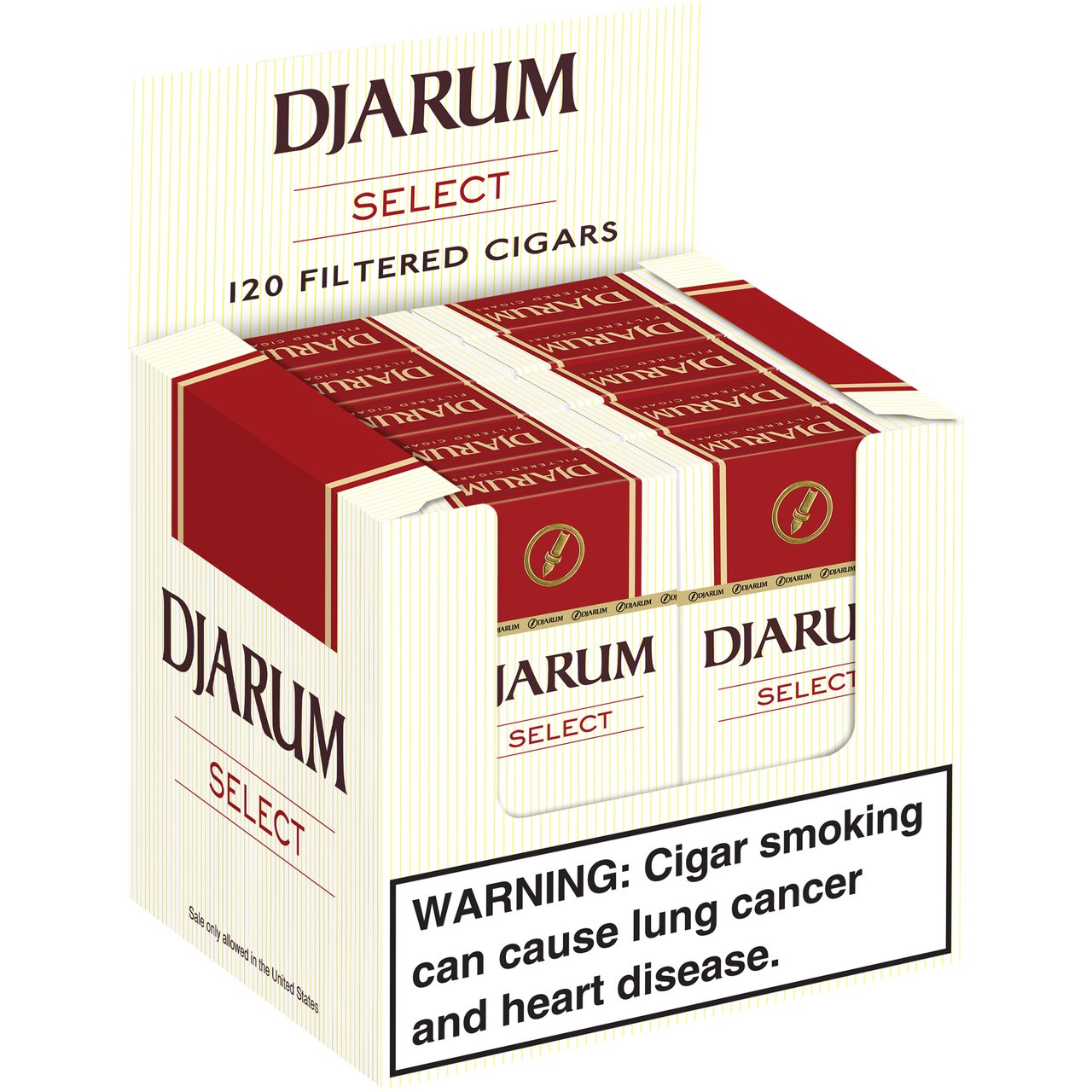 Djarum Select Filtered Cigars, 10-Pack/12 CT - Image 1