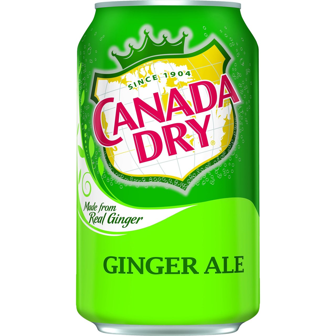 Canada Dry Ginger Ale 24-Pack 12 FL OZ Cans - Image 1