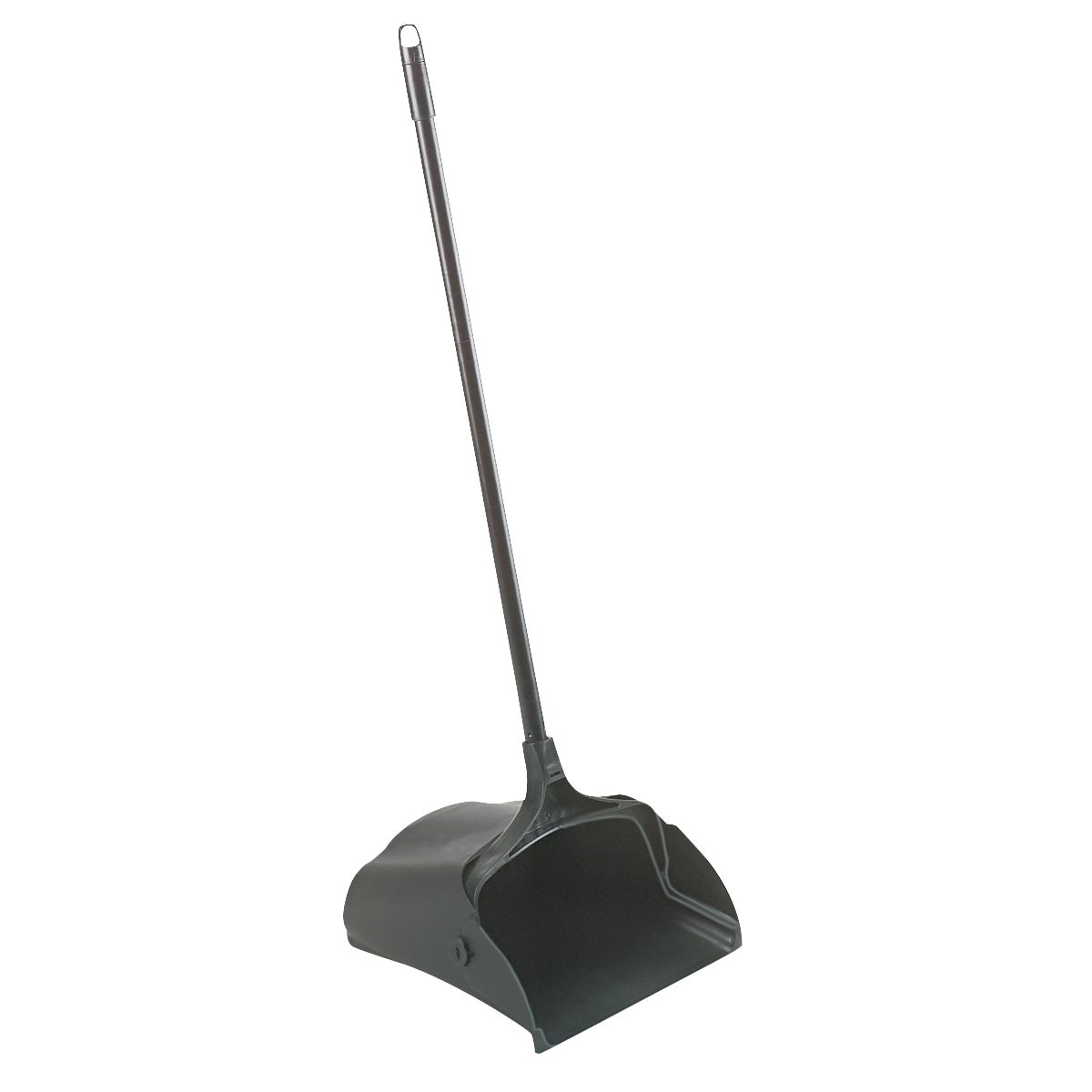 Rubbermaid Lobby Pro Dustpan, Black (RCP253100BK)