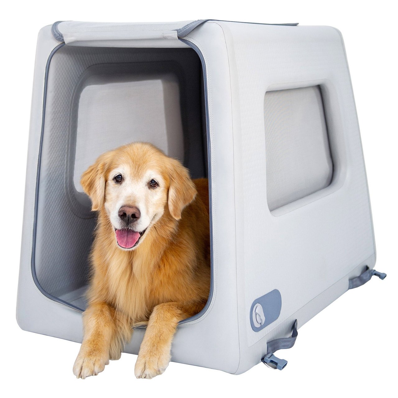 Diggs Enventur Large Dog Inflatable Travel Kennel - Image 1