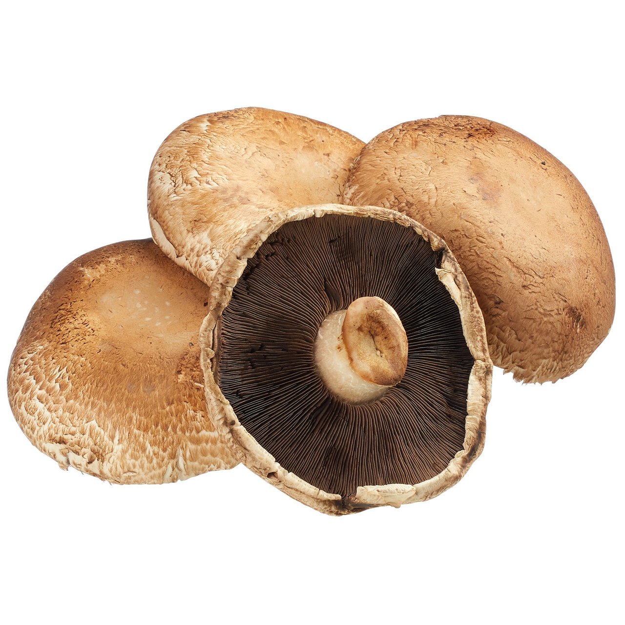 Organic Portabella Mushrooms, 16 oz - Image 1