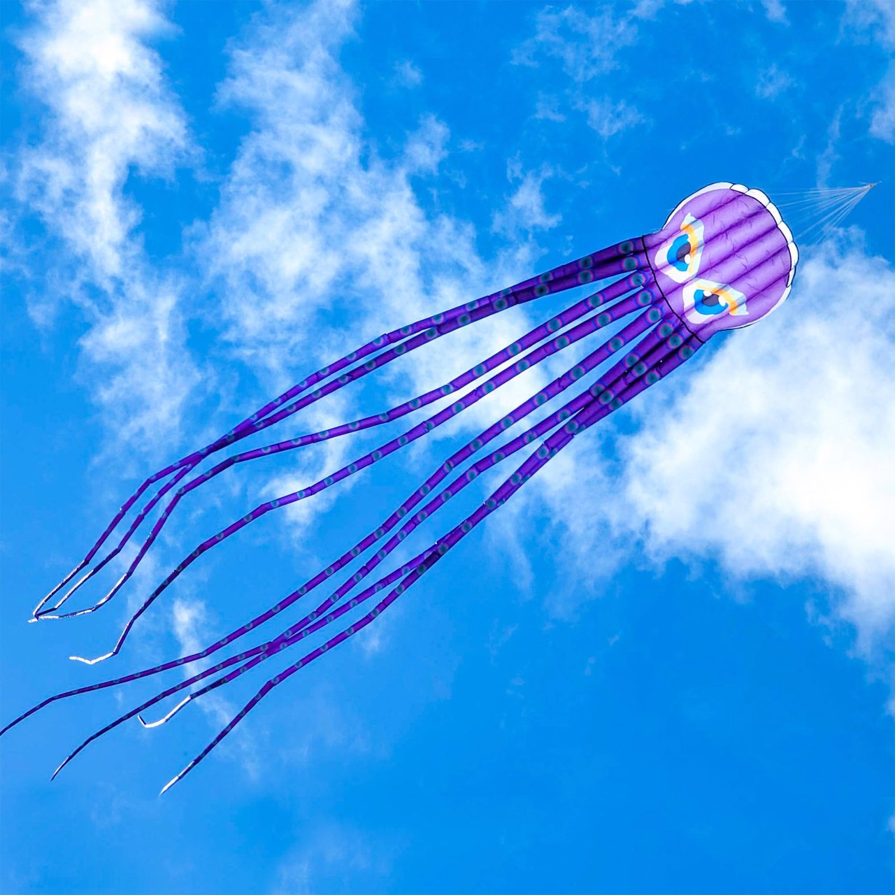 Octopus Premium Kite - Image 1