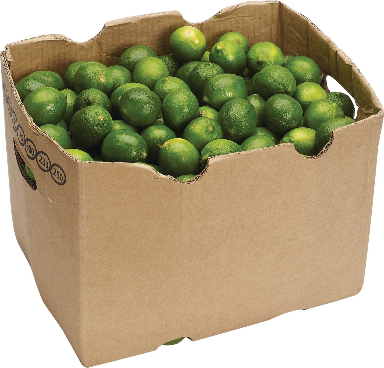 Limes US #1 Full Case - Image 1