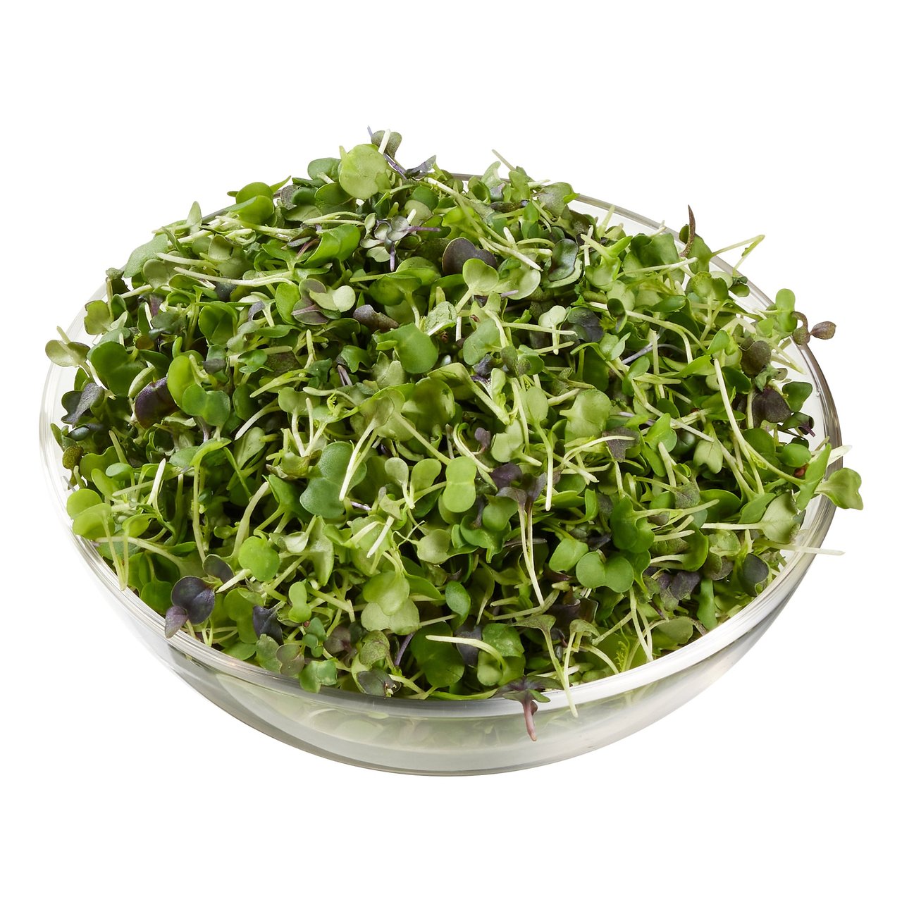 Microgreens Rainbow Mix 6oz