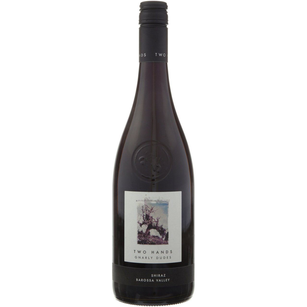 Two Hands Gnarly Dudes Shiraz Australia 750 ml