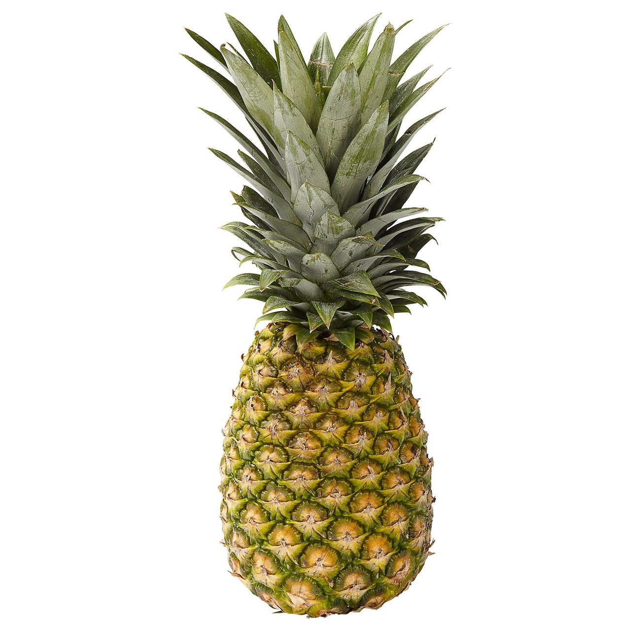 Golden Pineapple Each - Image 1