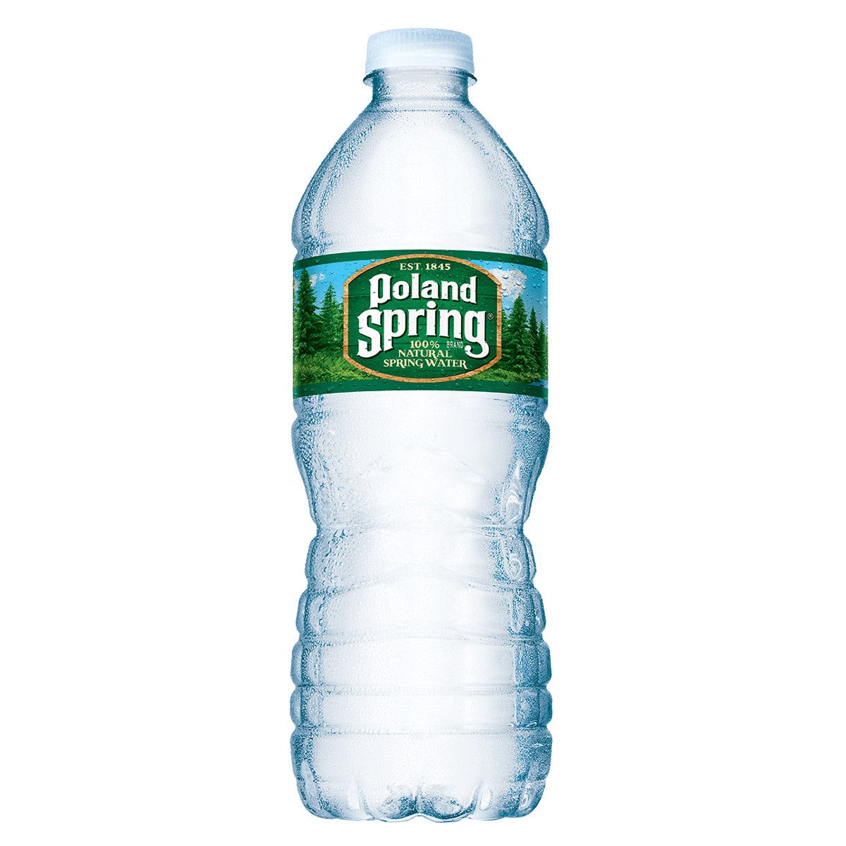 Poland Spring Spring Water 40/16.9 oz (21.125 qts) - Image 1