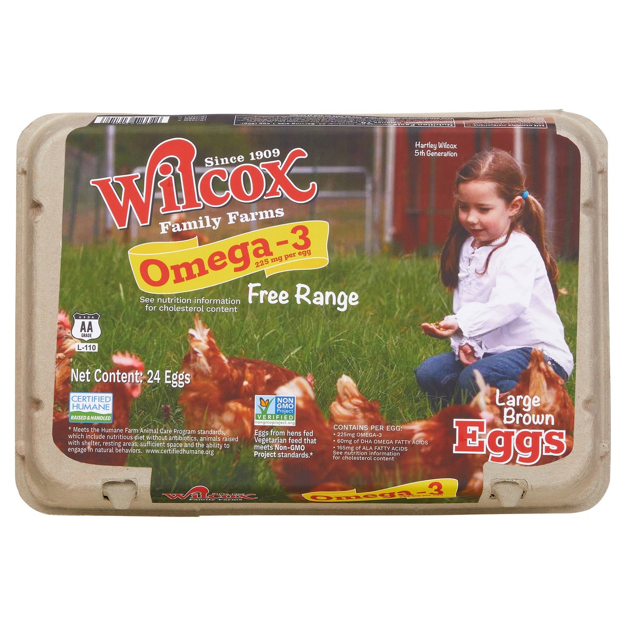Wilcox Omega Brown Large USDA AA Free Range Eggs, 2 Dozen - Image 1