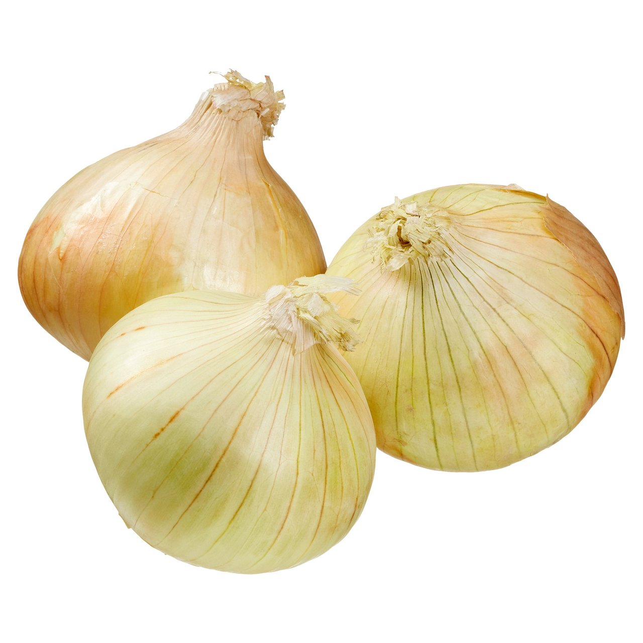 Walla Walla Sweet Onions, 5 lbs - Image 1