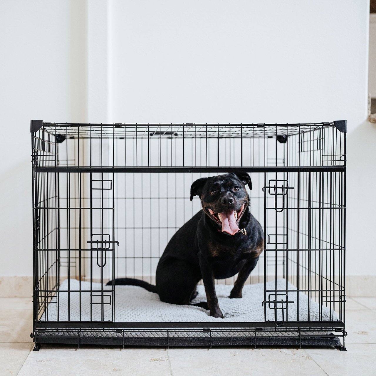 Lucky Dog Dwell Series Crate, Black Finish, 42" - Image 1