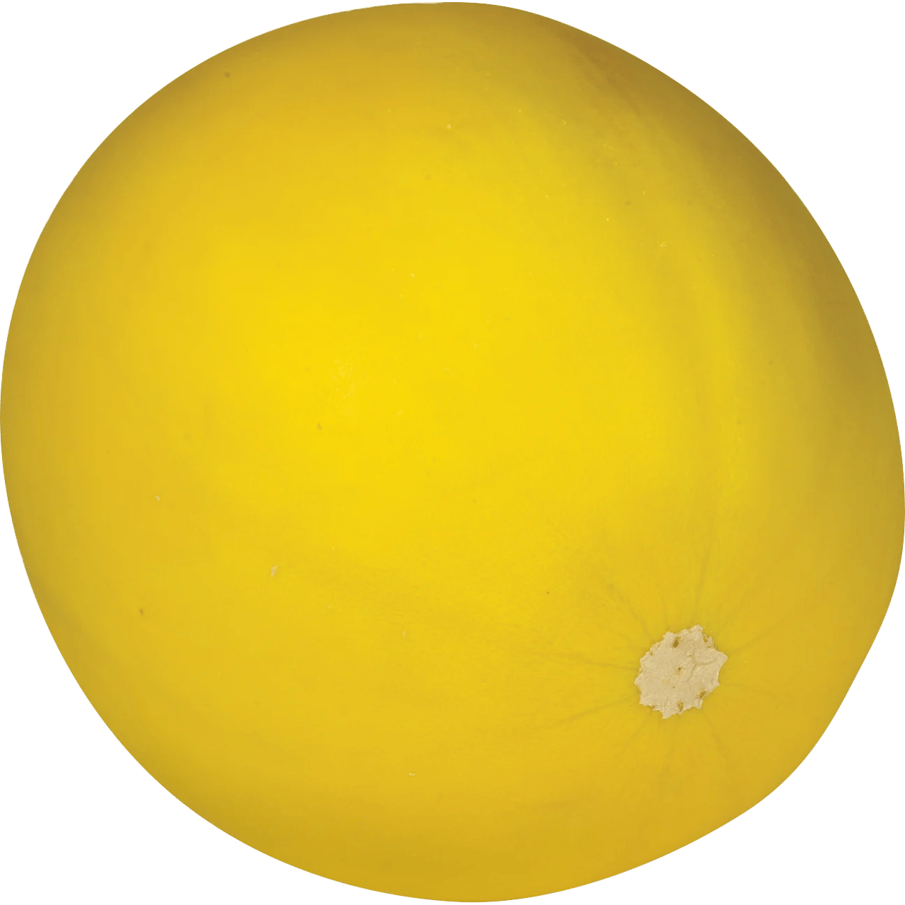 Golden Hami Melon, Each - Image 1