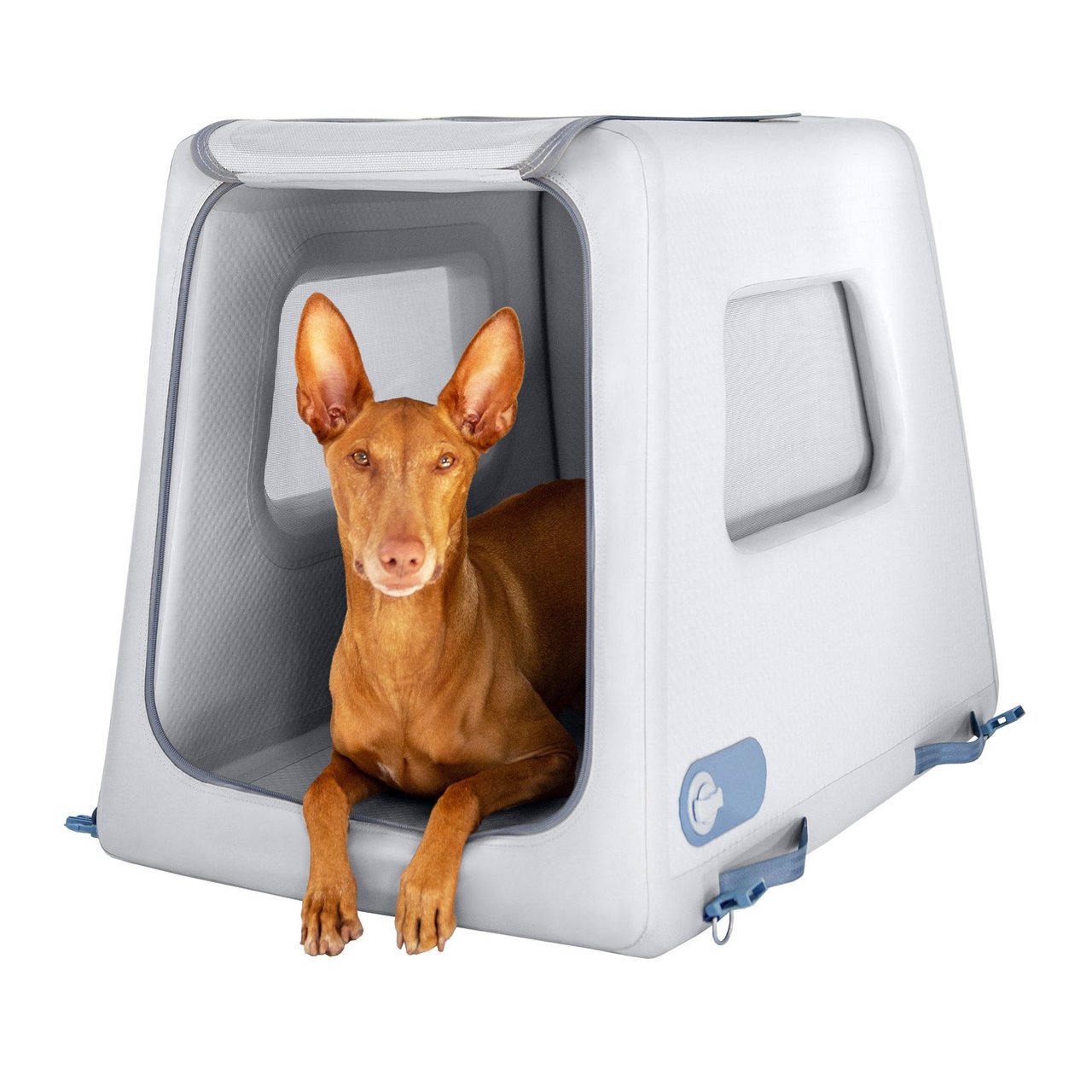 Diggs Enventur Medium Dog Inflatable Travel Kennel - Image 1