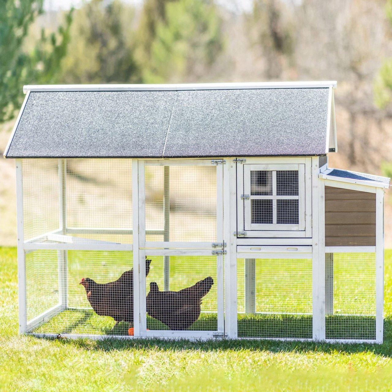 Zylina Superior Hen House 83.9" x 40" x 56.9" - Image 1