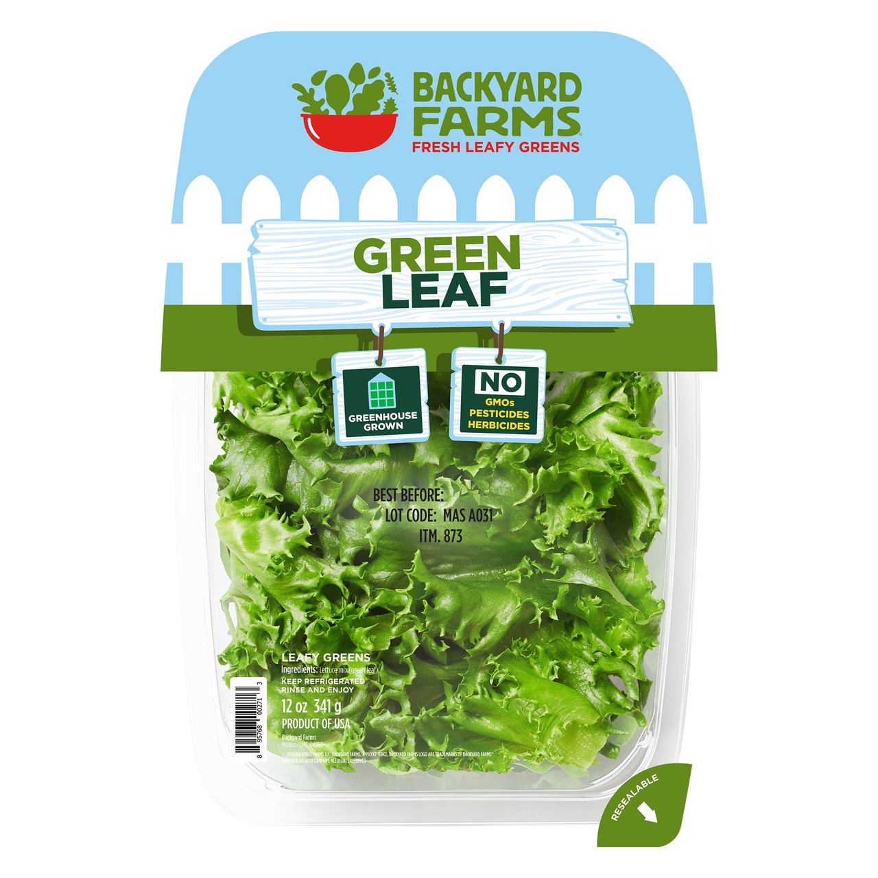 Crispy Green Leaf Greenhouse Grown